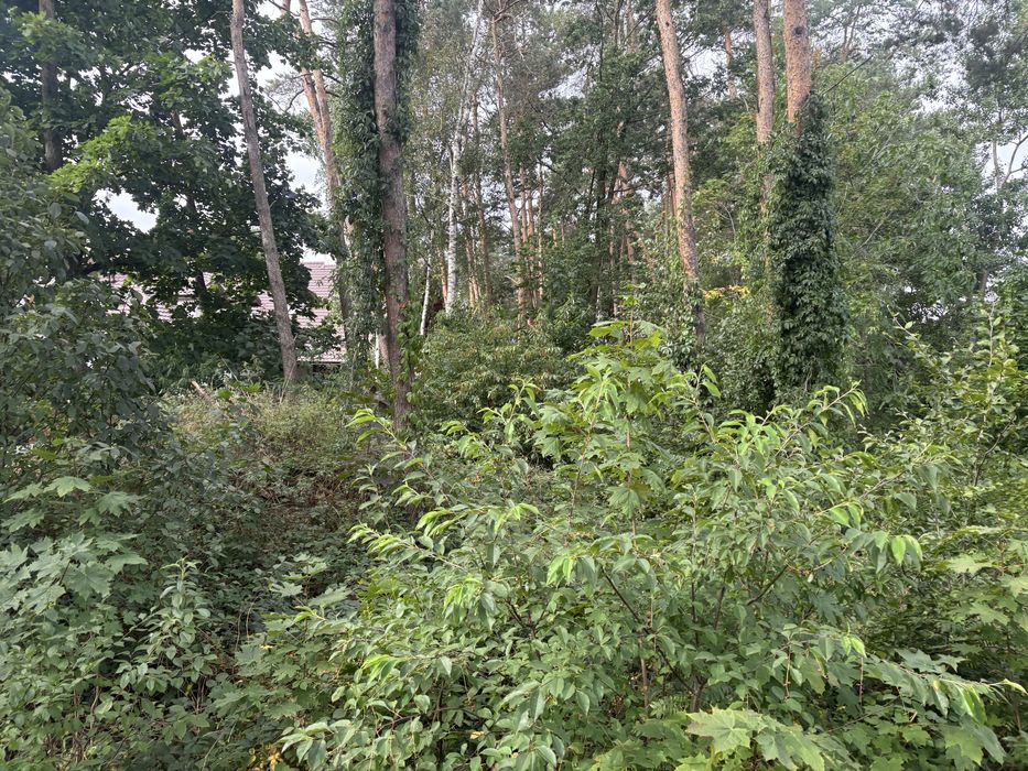 Glebogryzarka separacyjna