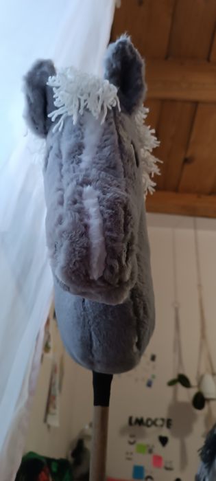 Hobby horse ujerzdżeniowy