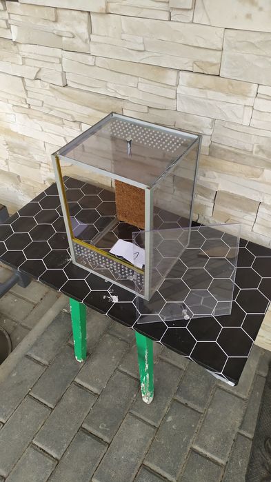 Terrarium dla modliszek i innych.