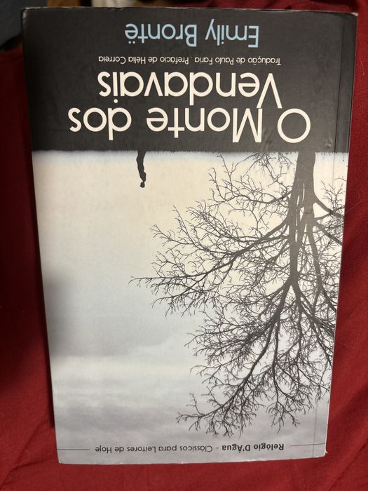 Livro - O Monte dos Vendavais