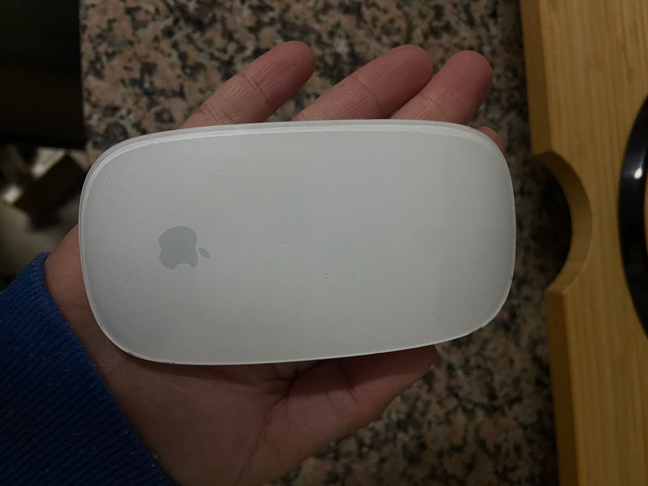 Teclado + magic mouse apple