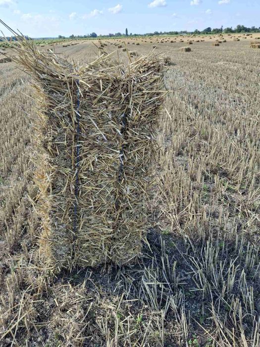 Тюки соломи пшеничної