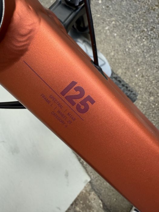 Canyon spectral 125