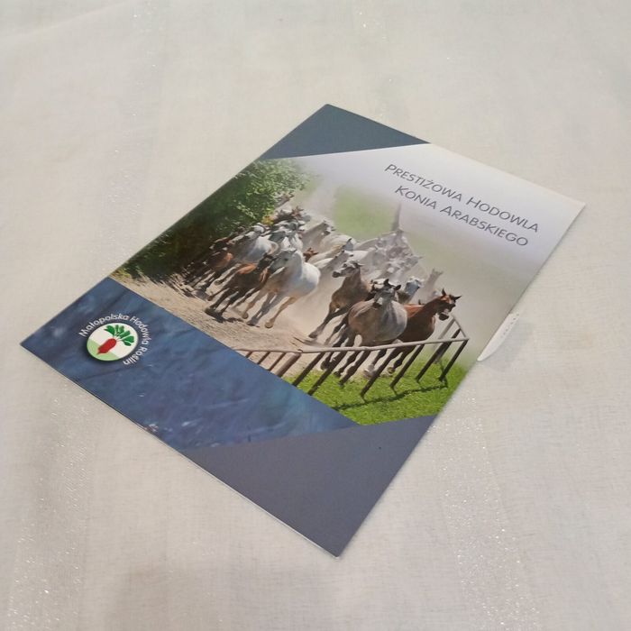 Prestiżowa Hodowla Konia Arabskiego