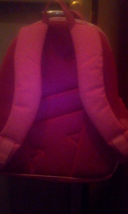 Рюкзак в школу + пенал этой же фирмы