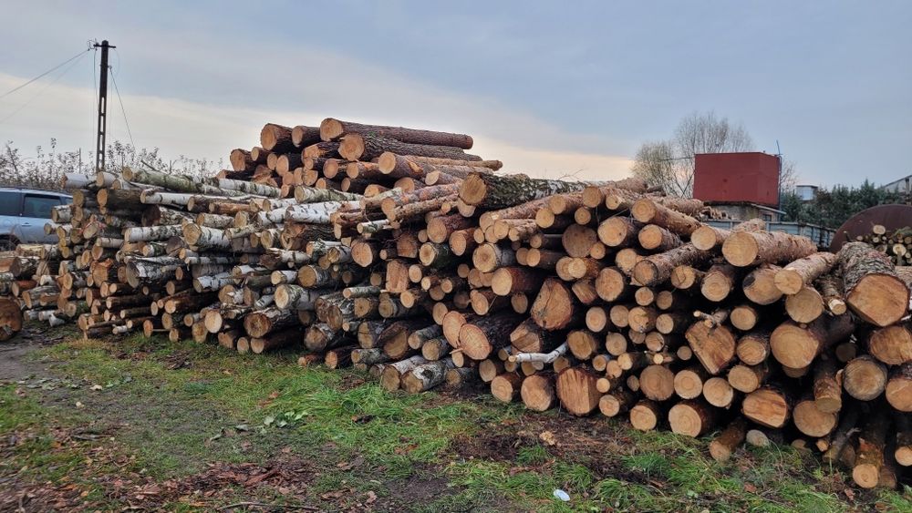 Drewno opałowe wałki Dąb Brzoza Klon Jabłoń Jesion Osika Sosna Wałki 1 metr transport wywrotka do 6 mp lub wałki 2.5 metra długości 25 mp lub 50 mp 
S