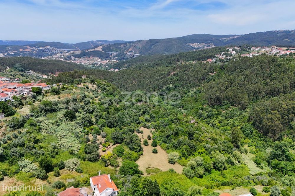 .Terreno Rustico | Bera |Almalaguês
