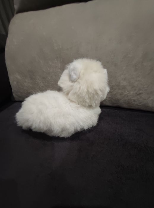 Peluche gatinha branca