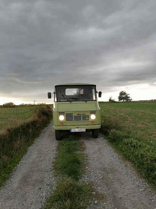 Żuk
