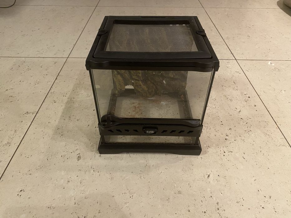 Terrarium Eko Terra 20x20x20