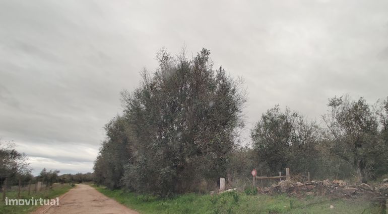 SOUSEL I terreno agrícola