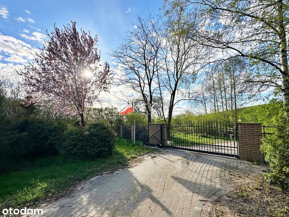 Działka 6000 m² Niczym Prywatny Park - Więcej