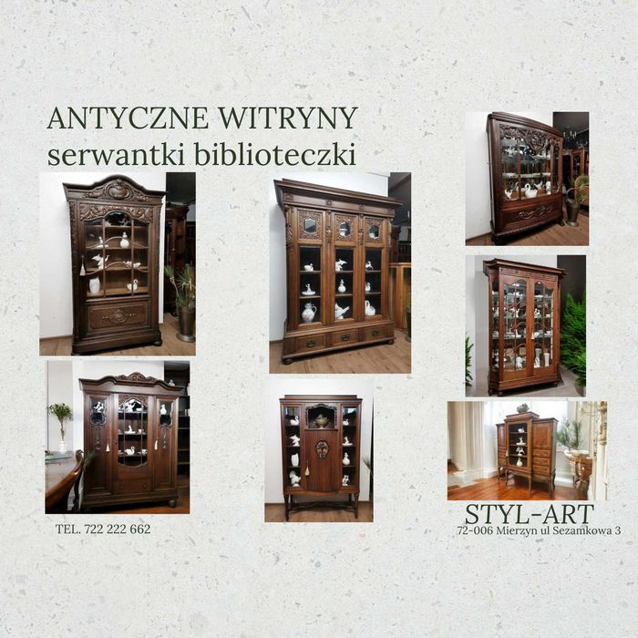 Antyczne witryny serwantki biblioteczki