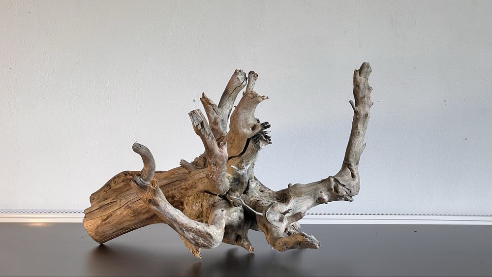 Korzeń do terarium, akwarium