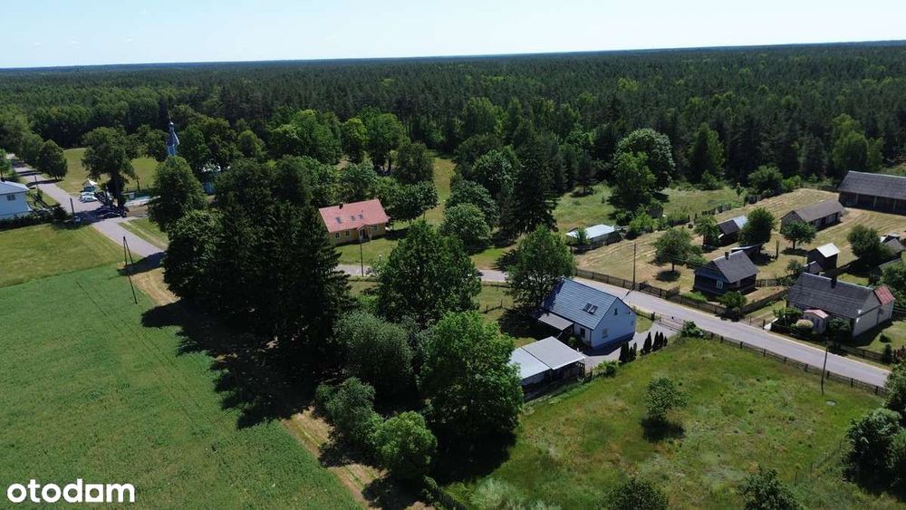 Werstok w Prawdzowej Puszczy Bialowieskiej. Podlasie