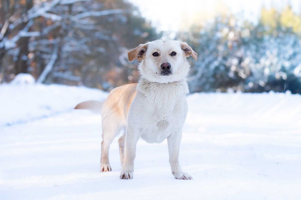 Lumea: młoda, rezolutna i przyjazna