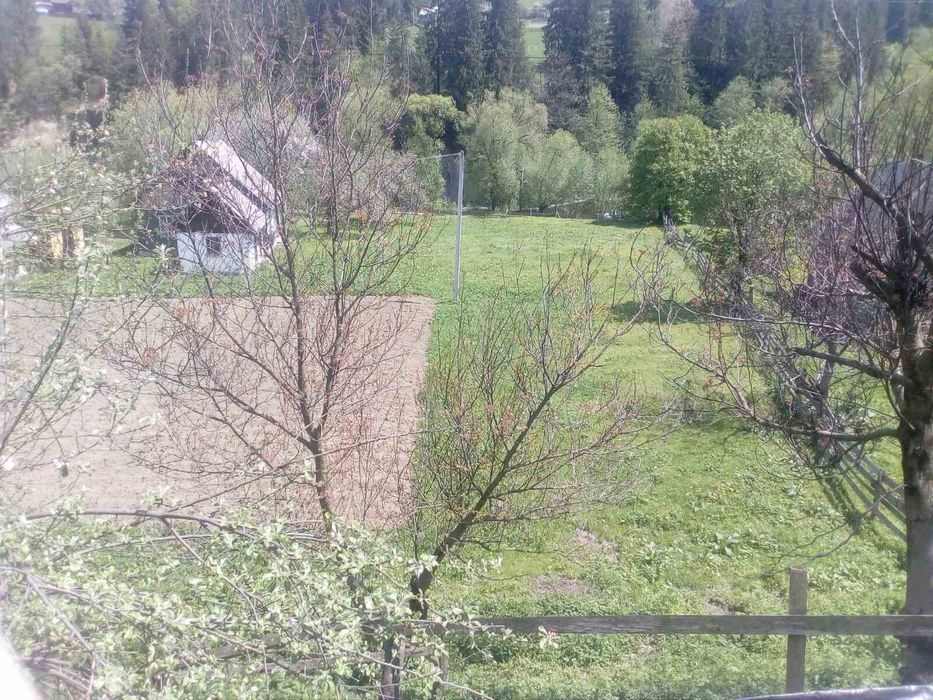 Продам земельну ділянку з будинком Путильська ТГ