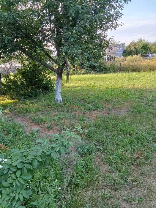 Продаж будинку село Борівка Київська область БЕЗ %