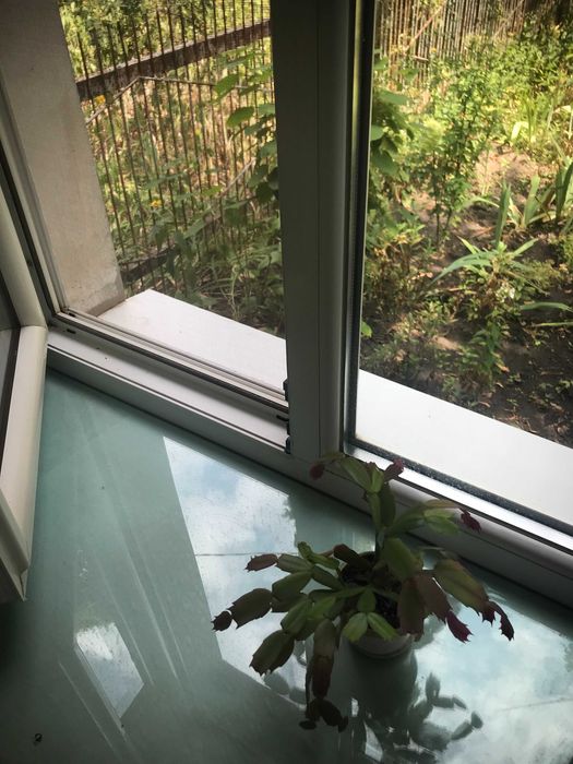 Продається котедж