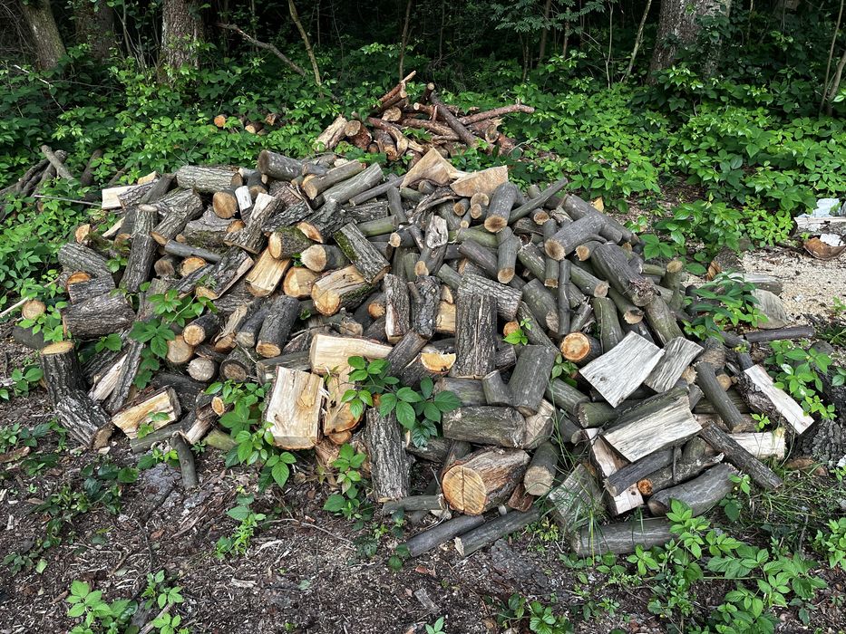 Drewno opałowe – dąb, grab, brzoza, sosna – transport GRATIS