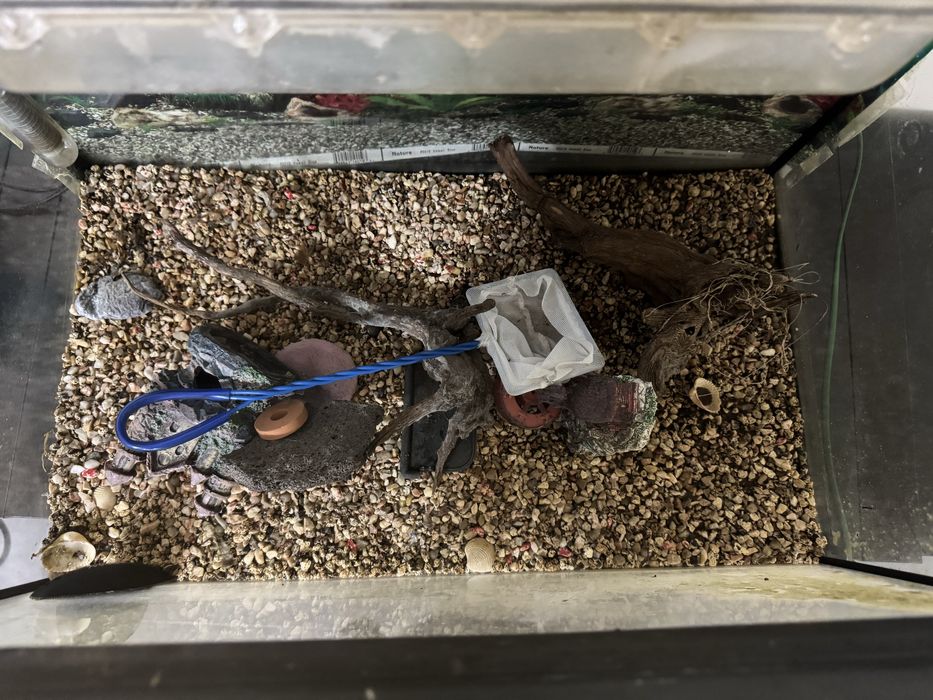 Aquario para Peixes com acessorios