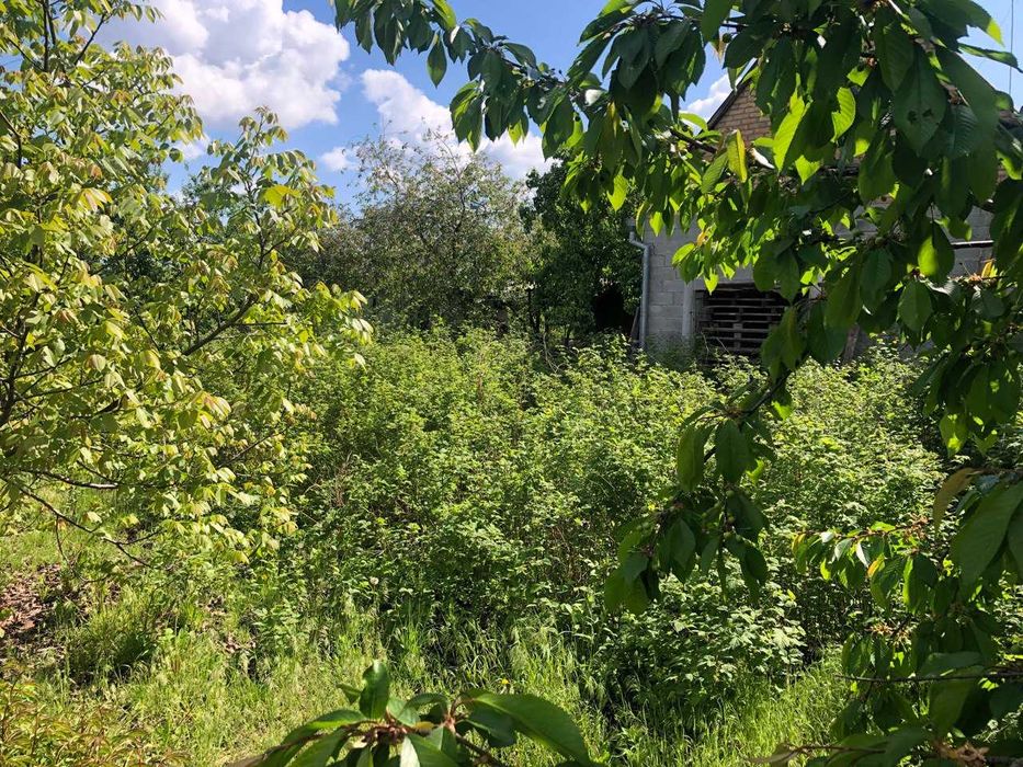 Продаємо будинок в с. Мала Вільшанка, Білоцерківський район.