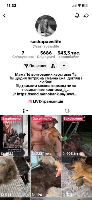 Цуценята в найкращі руки