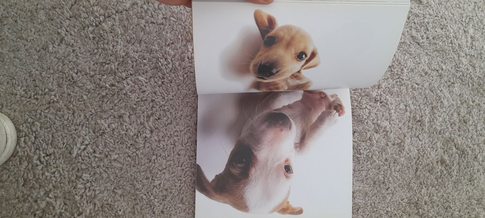 Le livre des grosses truffes de Yoneo Morita