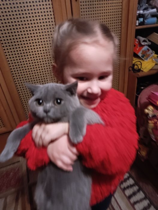 Хлопчики по новорічних цінах