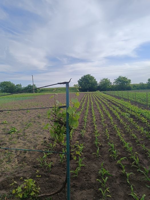 Продається будинок