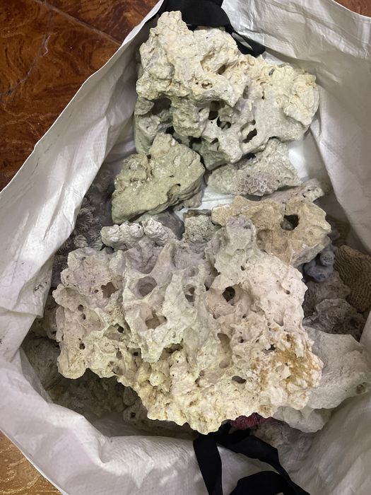 Rocha  calcária ou rocha de coral morto