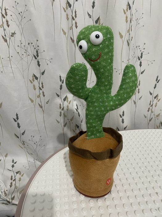 Кактус, що повторює звуки)