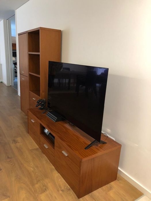 Móvel de televisão