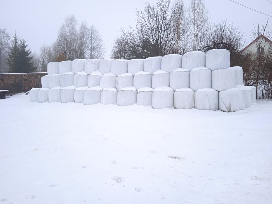 Bele sianokiszonka 130 cm baloty