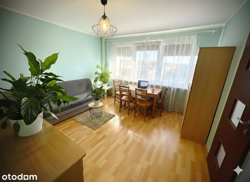 Wyjątkowa, duża kawalerka - Julianowska - zielono, sklepy, komunikacja