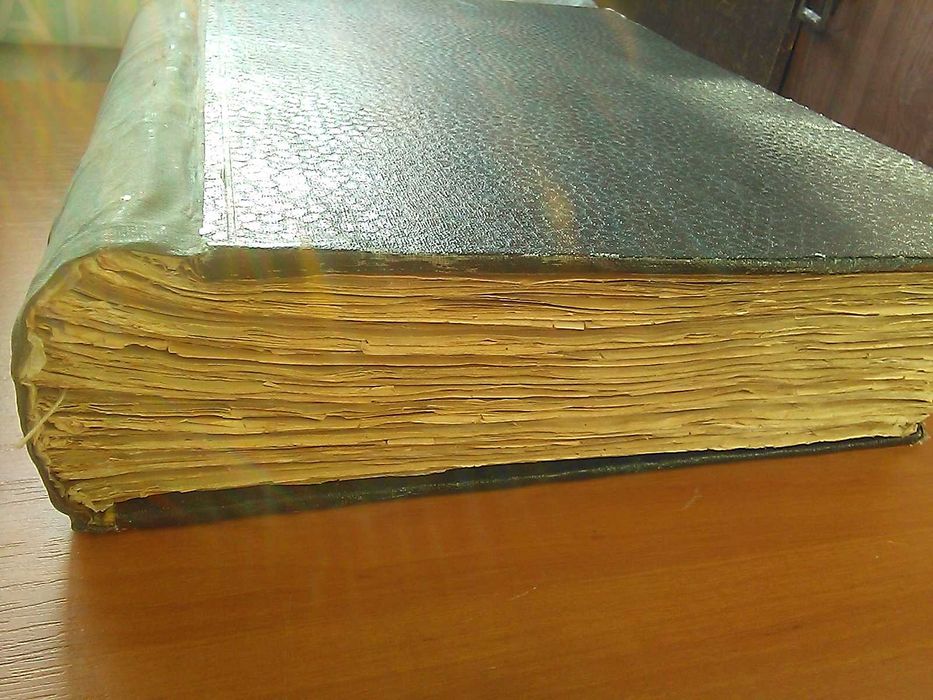 Журнал НИВА (1895) подшивка