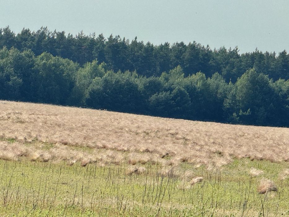 Земельна ділянка 27 га! Андріївка.