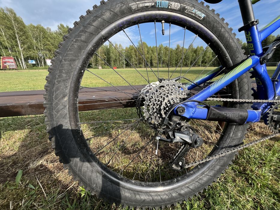 Dartmoor blackbird jr !OKAZJA!