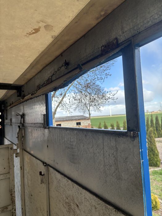 Transport żywych zwierząt i inne