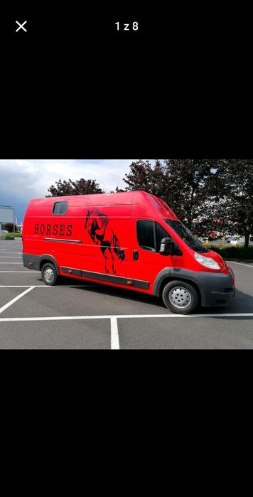 Transport koni i zwierząt wpis do Tracer