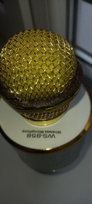 WS-858 Wireless Microphone  Микрофон караоке.