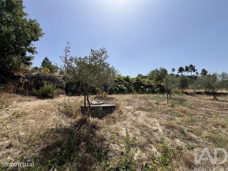 Terreno em Sernancelhe e Sarzeda de 44527,00 m2