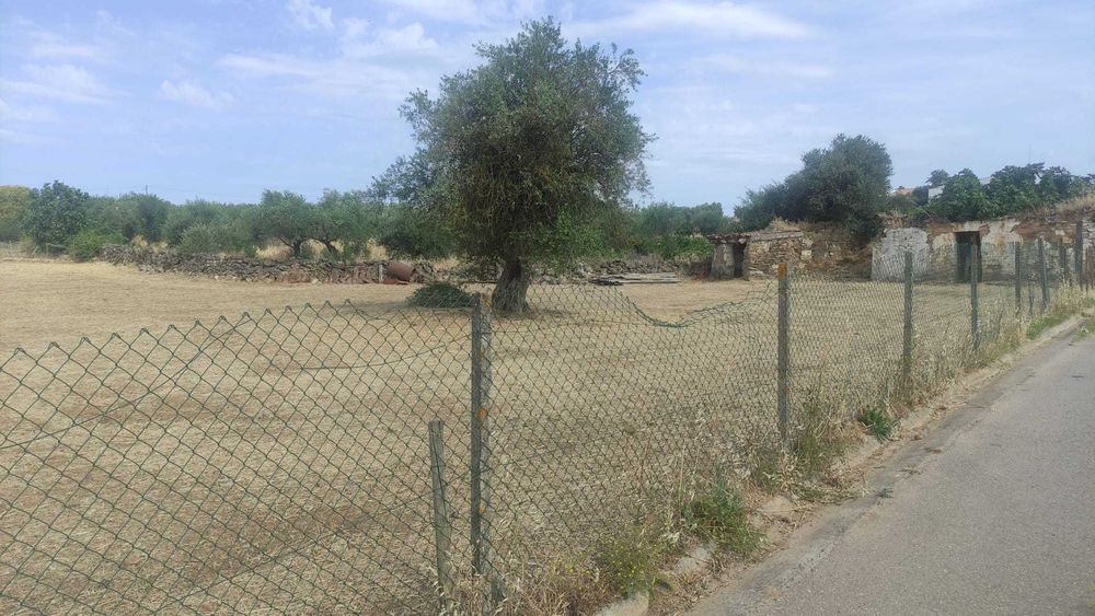 Terreno urbano com 661 m² e viabilidade de construção em Vila Nova de São Bento