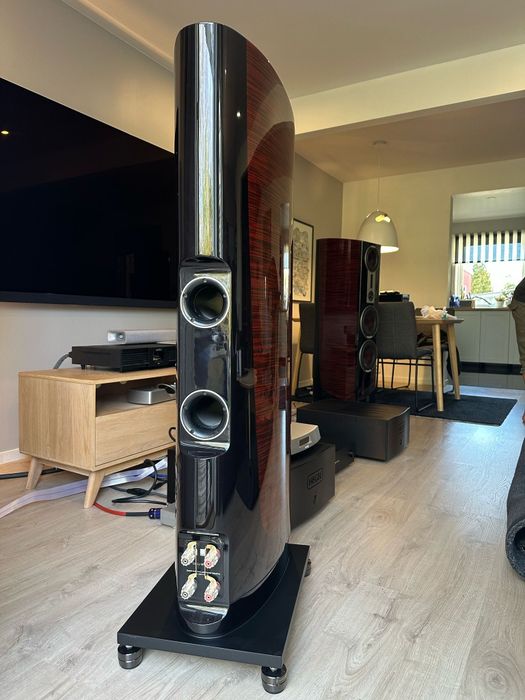 Dali Epicon 8 stan idealny Bełżyce • OLX.pl