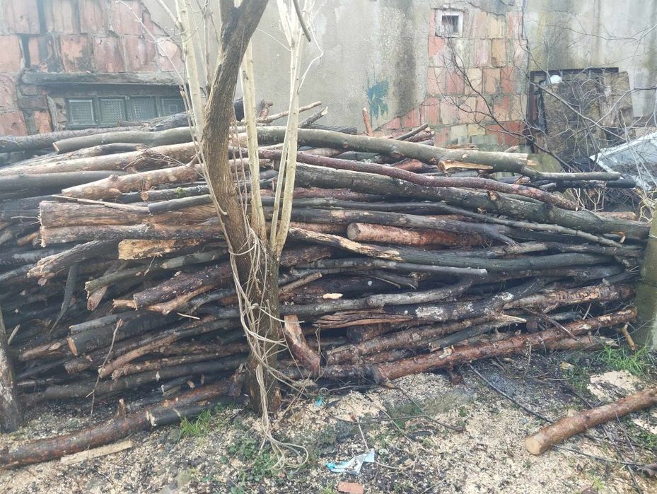 Drzewo opałowe mieszane