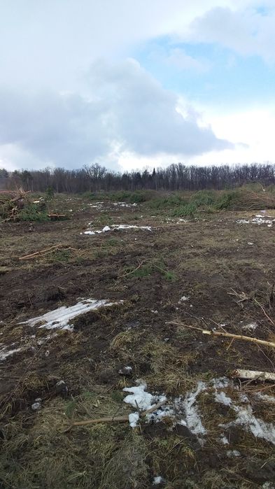 Послуги з  розчищення  ділянок,корчування пнів.