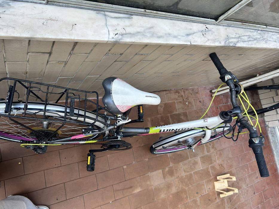 Bicicleta winora ( preço negociavel )