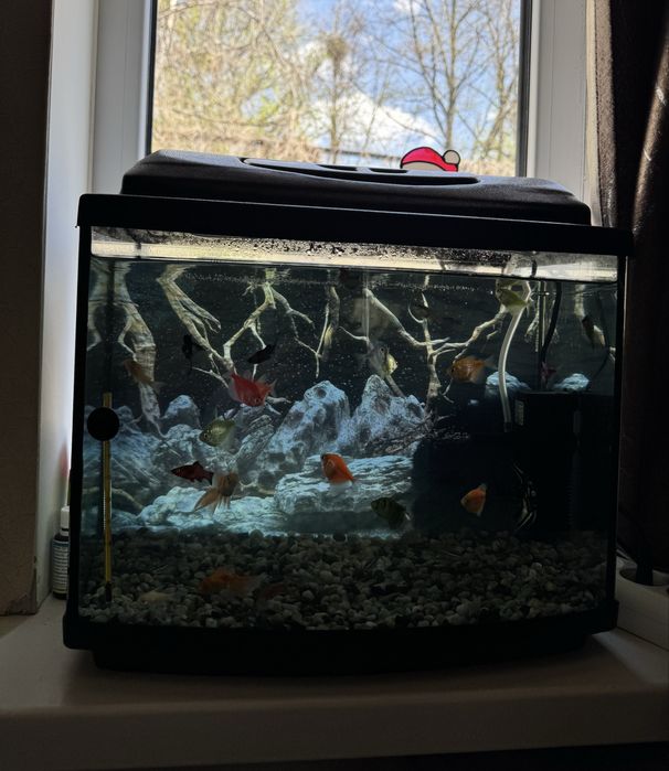 Аквариум 30л.