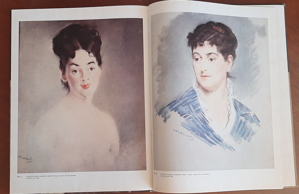 Livro sobre Edouard Manet