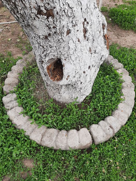 Бетонный бордюр поребрик круговой садовый для дерева клумбы радиусный